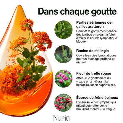 Drainage lymphatique Nuria – Gouttes naturelles