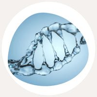 Acide hyaluronique